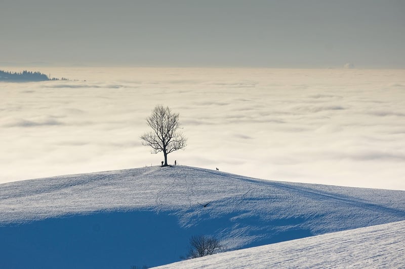 Alternate Reality Landscape